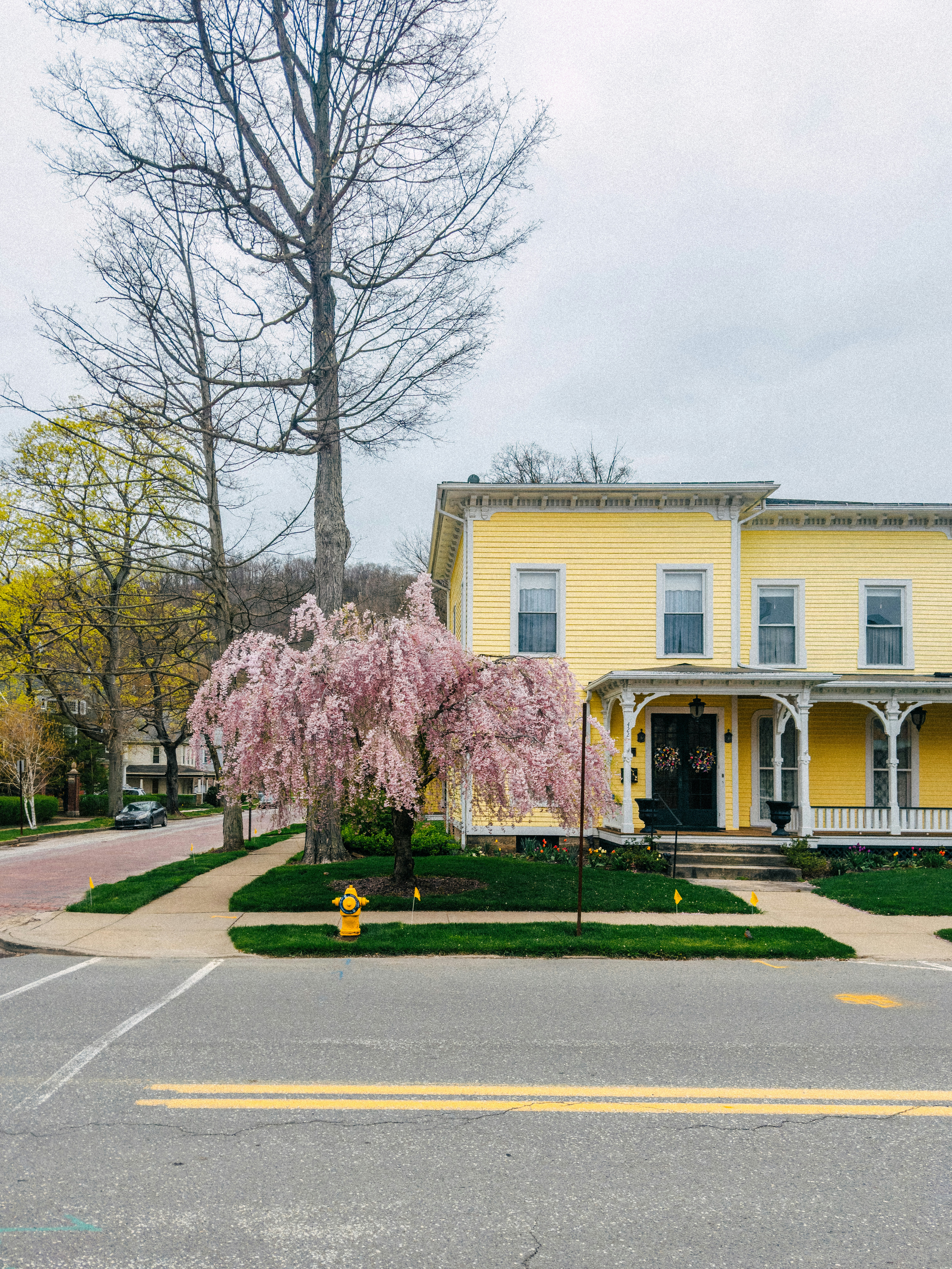 A home with trees in bloom on a spring day